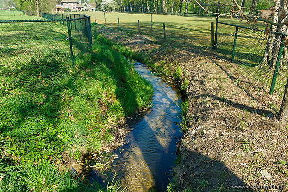 Zuidelijke Heerdense beek 240419-104