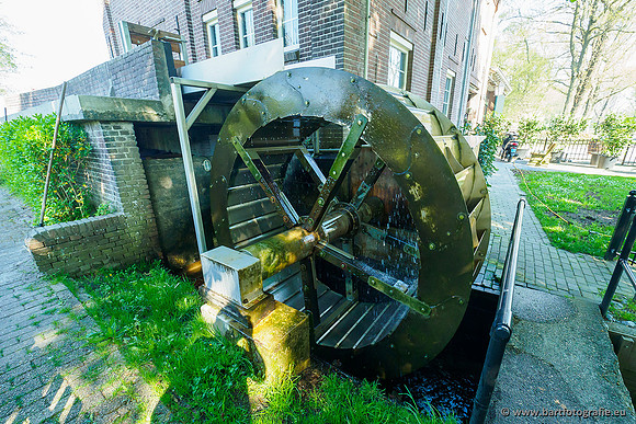 Zuidelijke Heerdense beek 240419-113