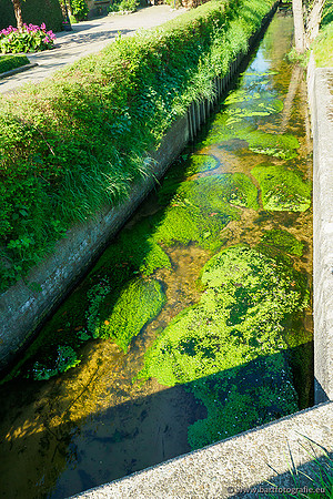 Zuidelijke Heerdense beek 240419-129