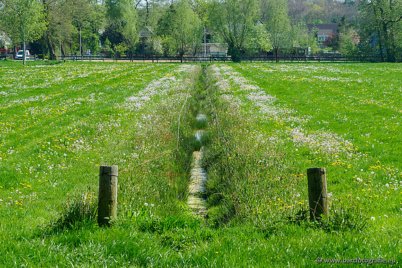 Zuidelijke Heerdense beek 240419-145