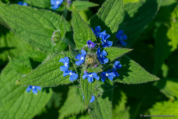 Zuidelijke Heerdense beek 240419-148