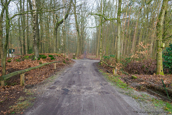 Middelste Heerdense beek 070220-003