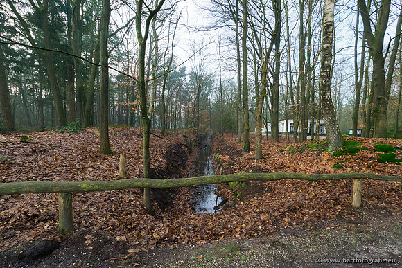 Middelste Heerdense beek 070220-004