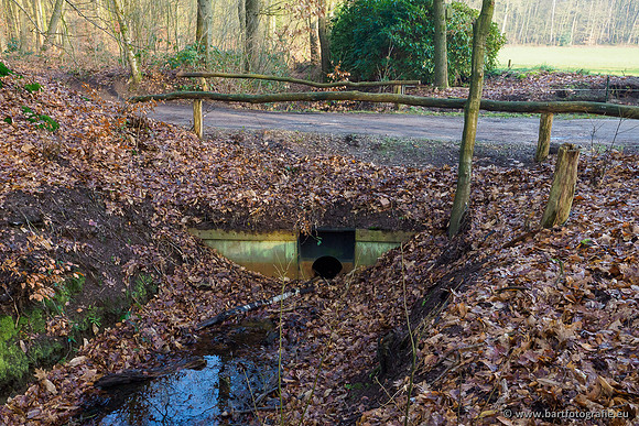 Middelste Heerdense beek 070220-005