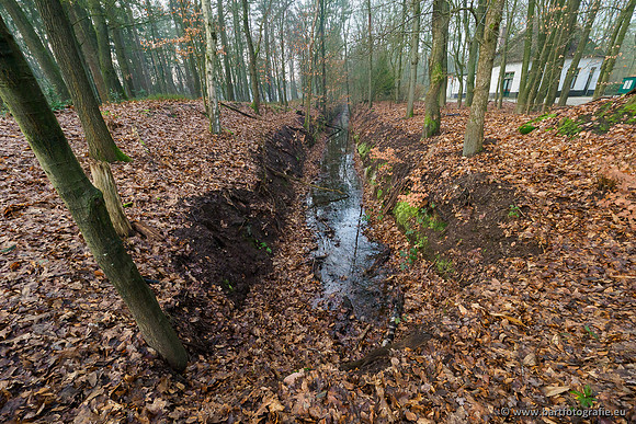 Middelste Heerdense beek 070220-006