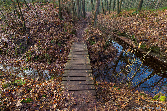 Middelste Heerdense beek 070220-008