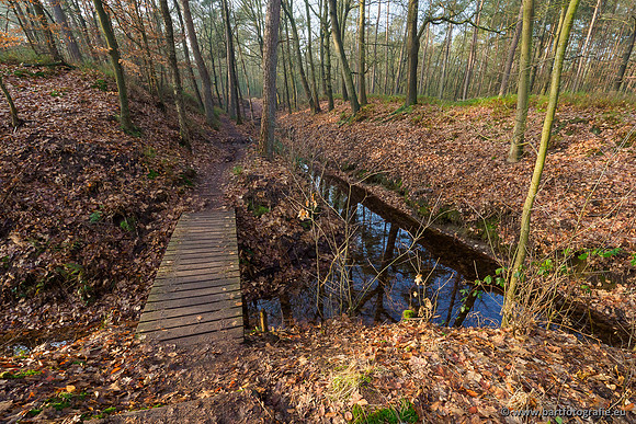 Middelste Heerdense beek 070220-009
