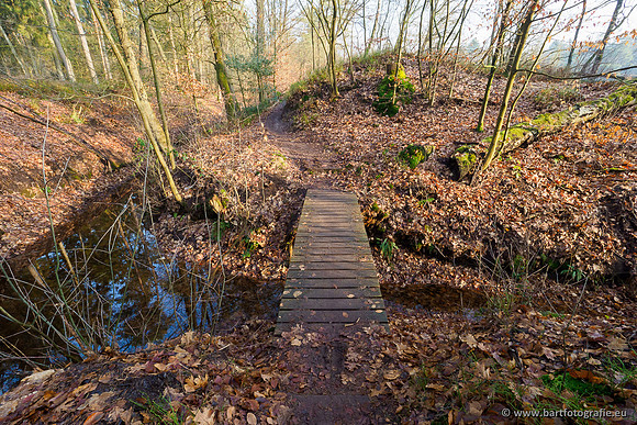 Middelste Heerdense beek 070220-011