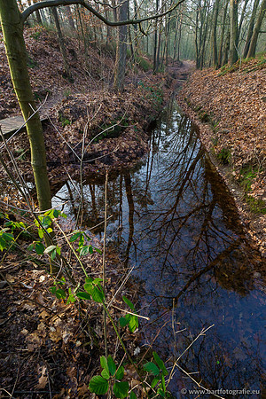 Middelste Heerdense beek 070220-010