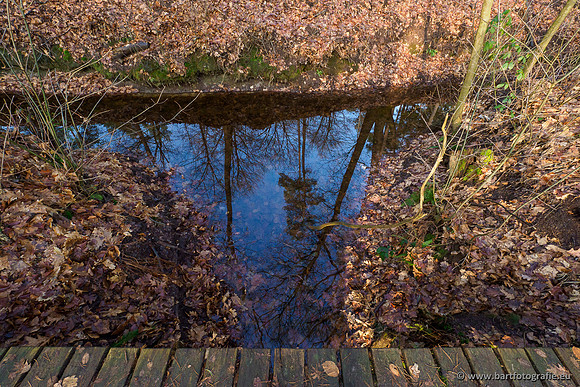 Middelste Heerdense beek 070220-012