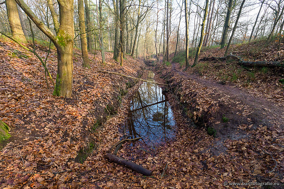 Middelste Heerdense beek 070220-017