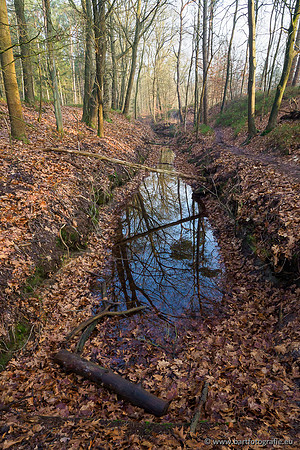 Middelste Heerdense beek 070220-018