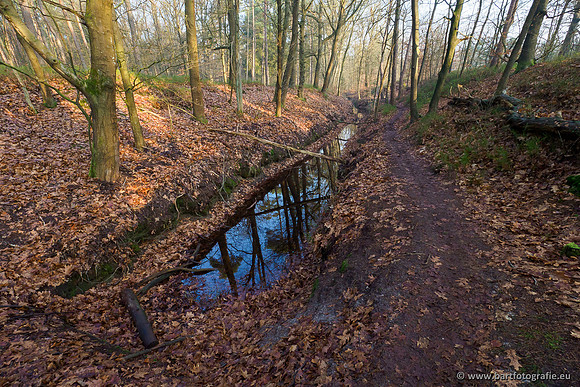 Middelste Heerdense beek 070220-019