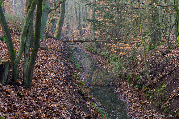 Middelste Heerdense beek 070220-020
