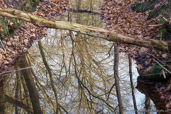 Middelste Heerdense beek 070220-022