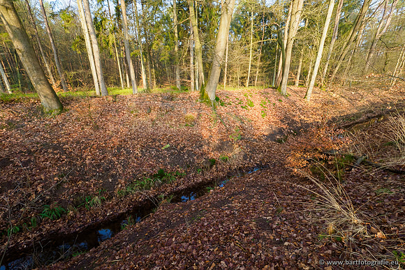 Middelste Heerdense beek 070220-025