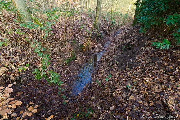 Middelste Heerdense beek 070220-026