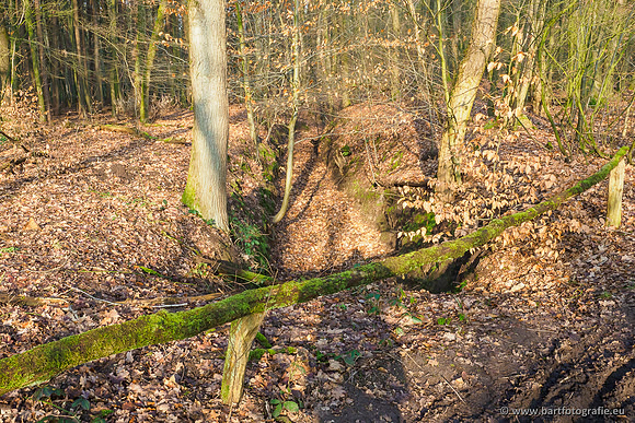 Middelste Heerdense beek 070220-027