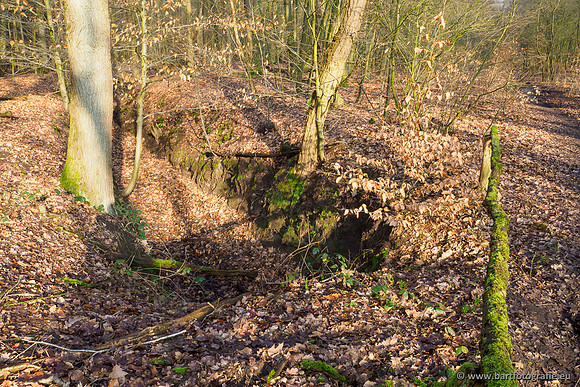Middelste Heerdense beek 070220-028