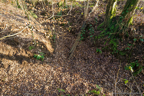Middelste Heerdense beek 070220-030