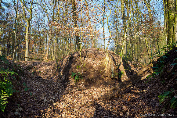 Middelste Heerdense beek 070220-031