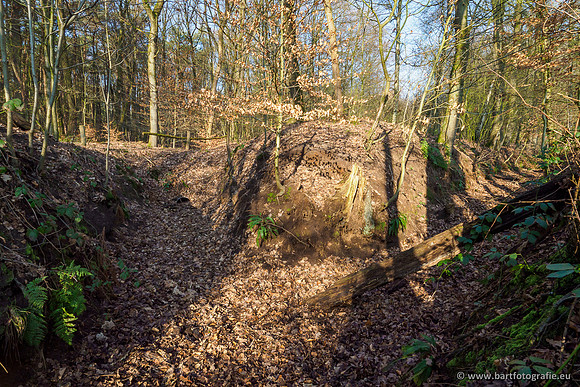 Middelste Heerdense beek 070220-032