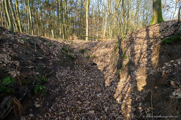 Middelste Heerdense beek 070220-033