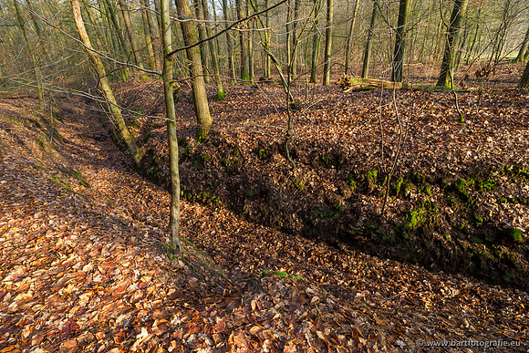 Middelste Heerdense beek 070220-034