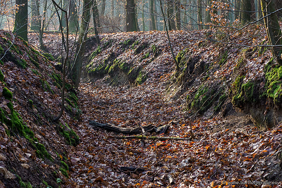 Middelste Heerdense beek 070220-036