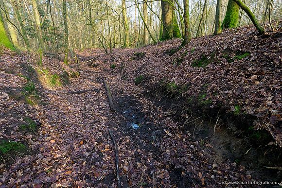 Middelste Heerdense beek 070220-038