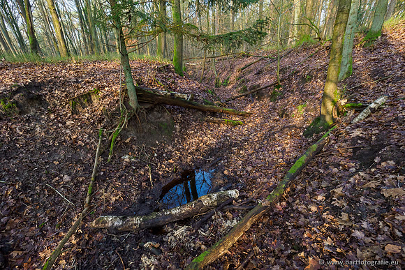 Middelste Heerdense beek 070220-040