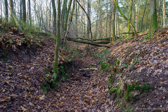 Middelste Heerdense beek 070220-041