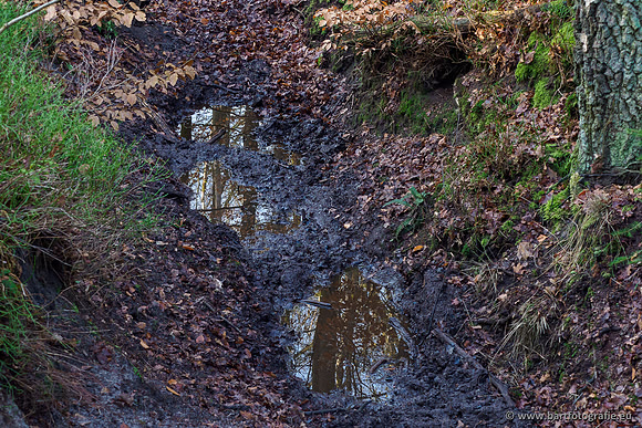 Middelste Heerdense beek 070220-044