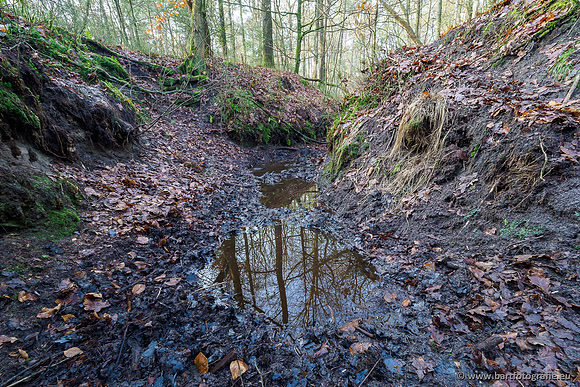 Middelste Heerdense beek 070220-046