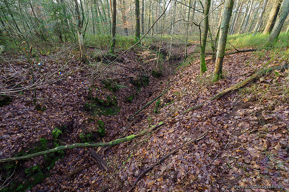 Middelste Heerdense beek 070220-047