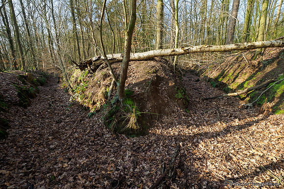 Middelste Heerdense beek 070220-050
