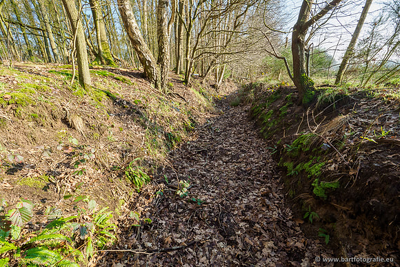 Middelste Heerdense beek 070220-051
