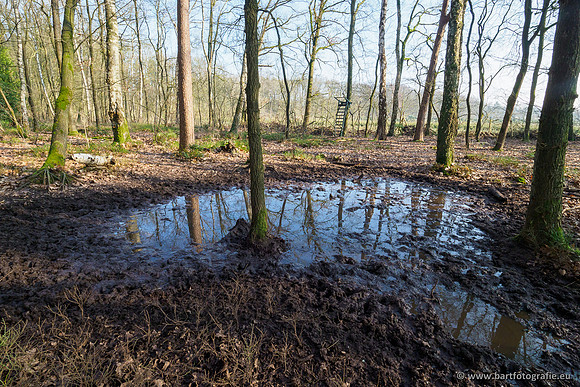 Middelste Heerdense beek 070220-053