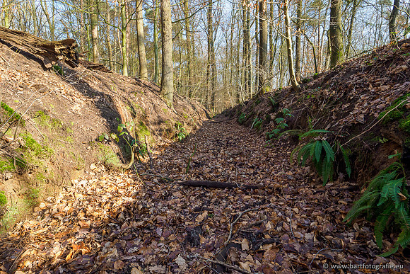 Middelste Heerdense beek 070220-054