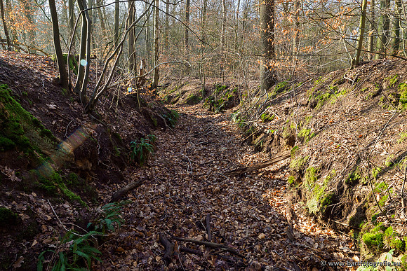 Middelste Heerdense beek 070220-055