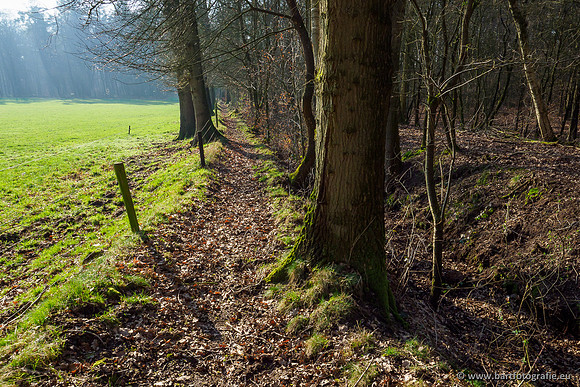 Middelste Heerdense beek 070220-058