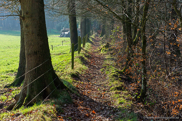 Middelste Heerdense beek 070220-059
