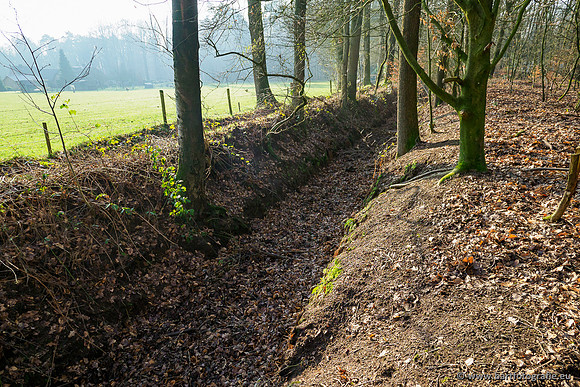 Middelste Heerdense beek 070220-060