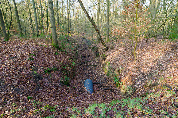 Middelste Heerdense beek 070220-061