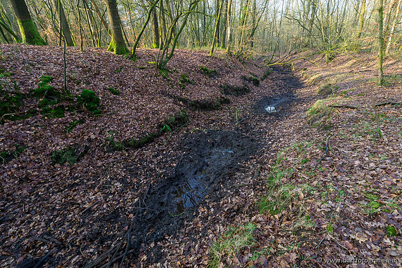 Middelste Heerdense beek 070220-062
