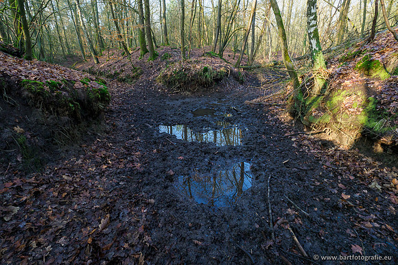 Middelste Heerdense beek 070220-065