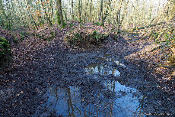 Middelste Heerdense beek 070220-066