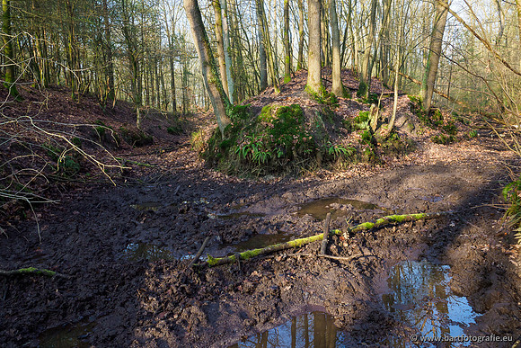 Middelste Heerdense beek 070220-069