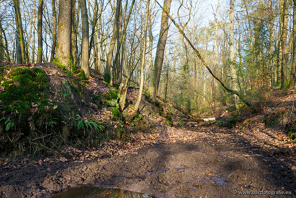 Middelste Heerdense beek 070220-070