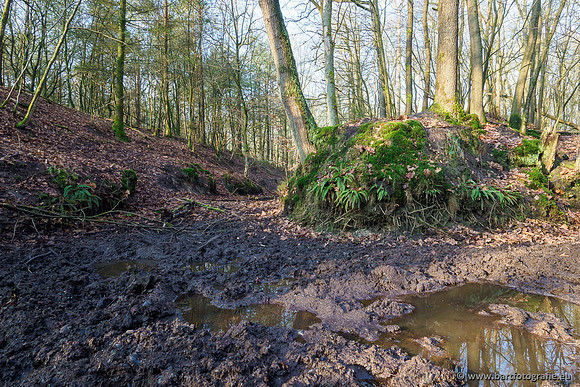 Middelste Heerdense beek 070220-071